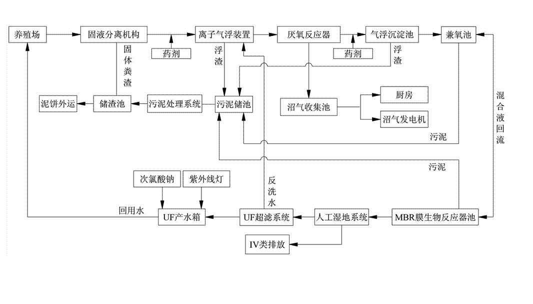 農(nóng)村養(yǎng)殖戶如何低成本有效處理污水，這兩種做法你應(yīng)該知道!02